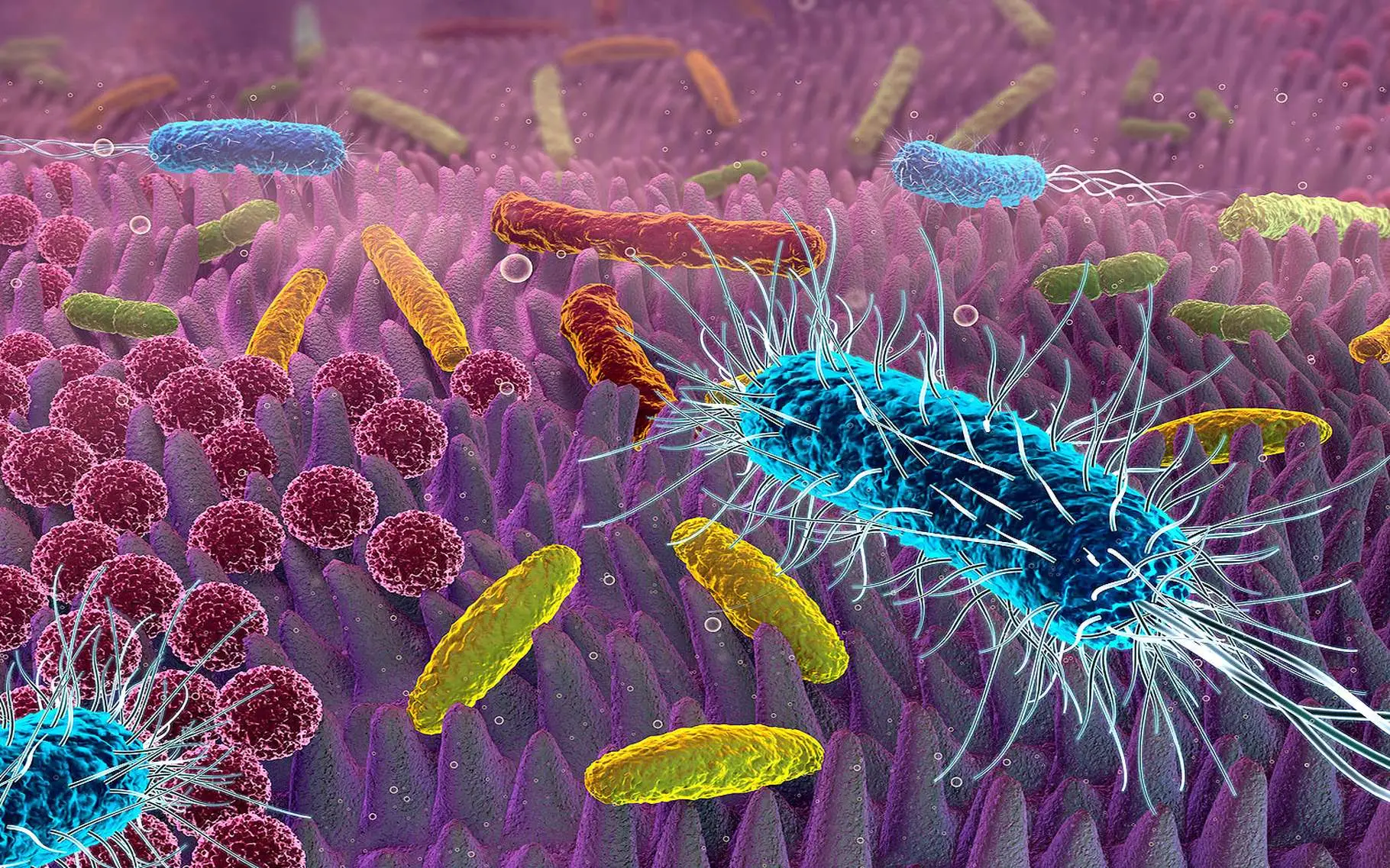 Pulisci davvero l’aria di casa tua dai batteri: ecco la soluzione naturale confermata dagli studi