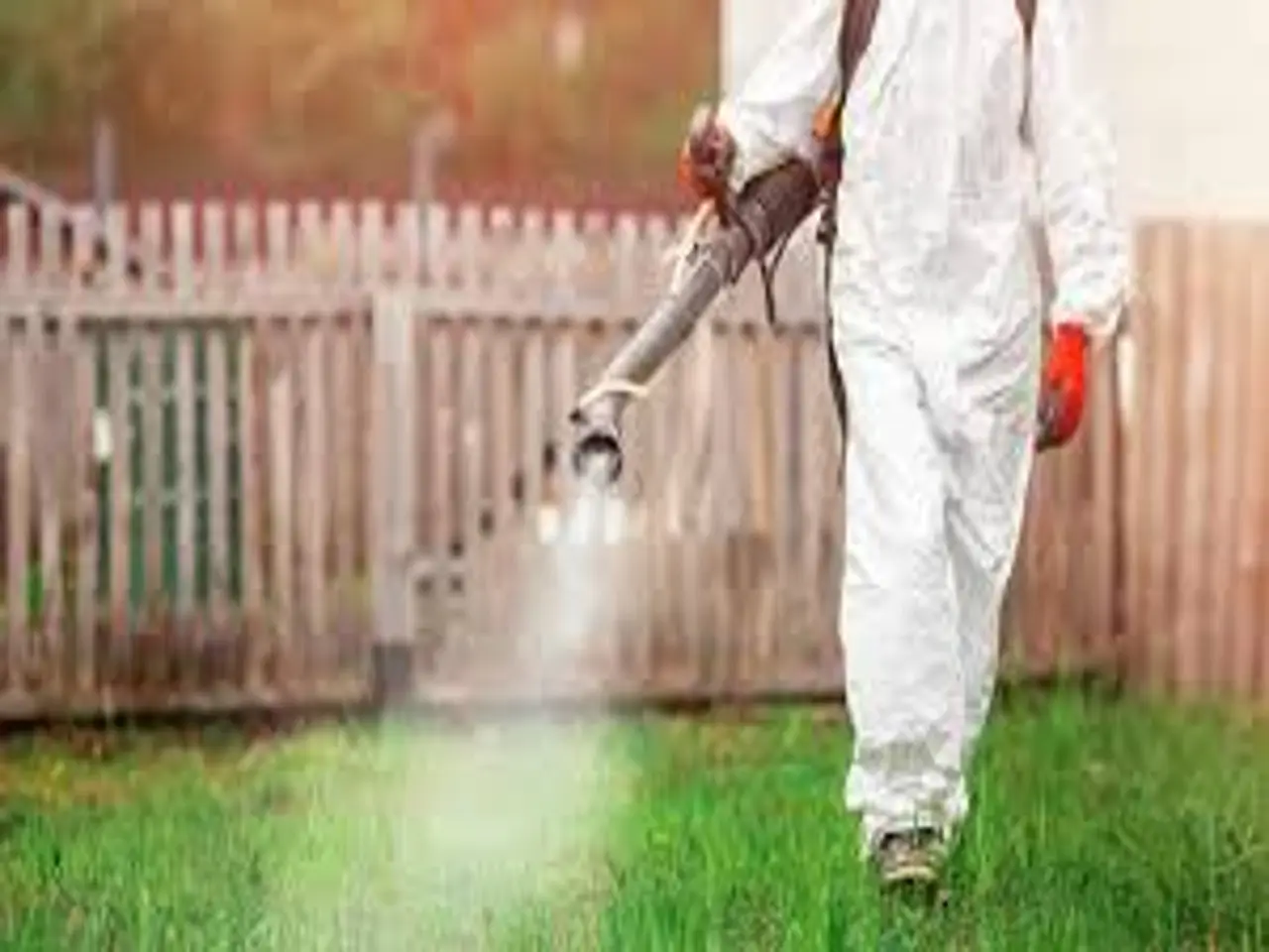 Il diserbante giapponese che promette miracoli: funziona davvero? Ecco la verità