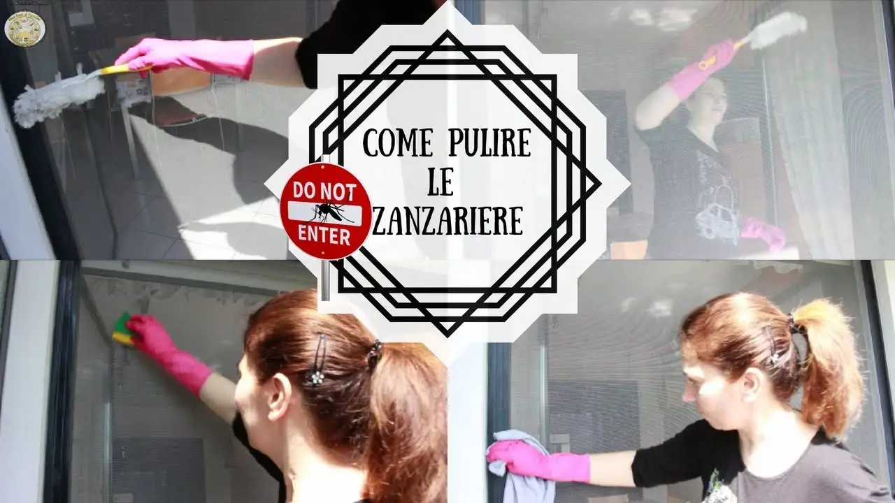 Zanzare in casa anche a finestre chiuse? Ecco cosa le attira davvero e come evitarlo